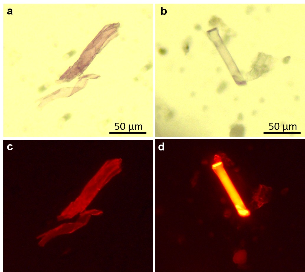 image plastic